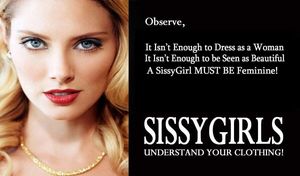 NO guy refuses a BJ from a shemale