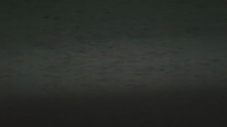 Hooked up with the ex in her car