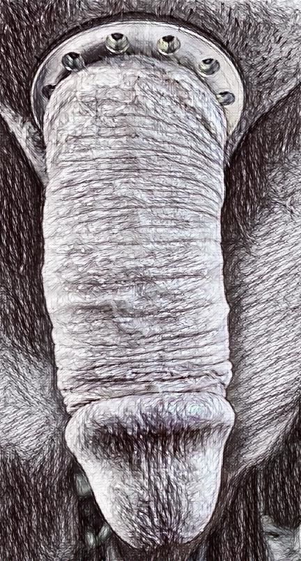 Black & White cock drawing