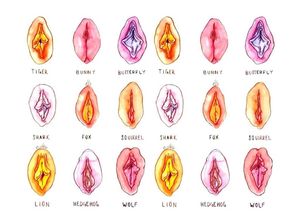 Does my vagina look normal?