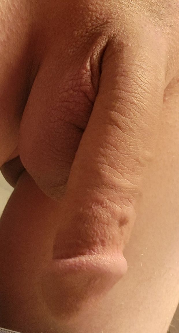 Limp shaved dick