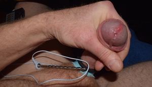 SMC33..EStim Sounding Precum