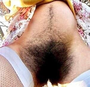 Bush