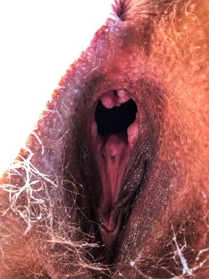 Deep hairy pussy hole