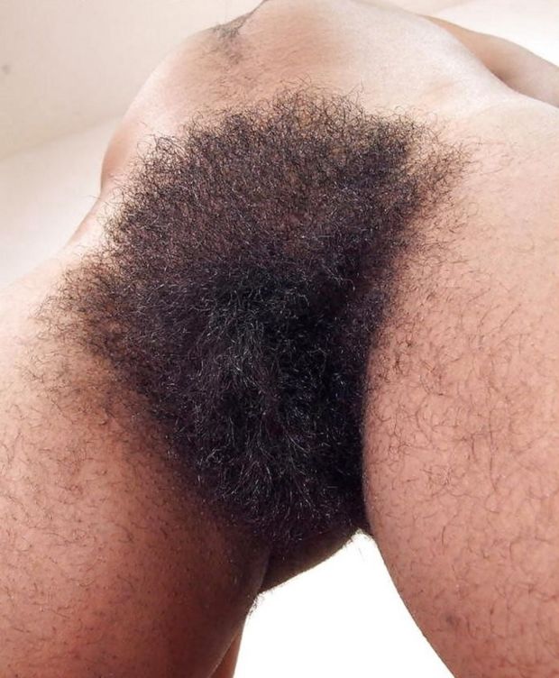 Brilliant bush