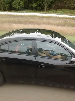 showing her off to a trucker