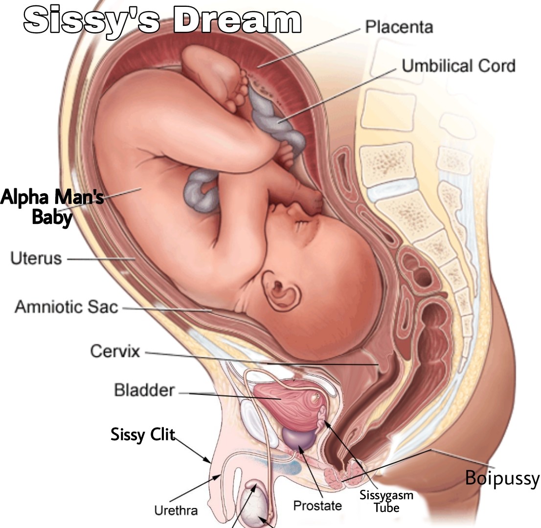 Alpha Baby in womb