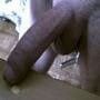 my dick