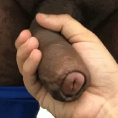 Foreskin on a beautiful brown cock