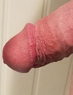 Close up of my penis head