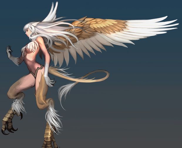 Griffon Lady