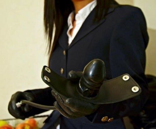 Look what I bought you. Put it in.