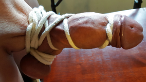 Pierced thick cock bulging in its tight rope knot