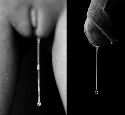 Lust