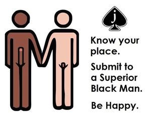 Looking for a master to serve