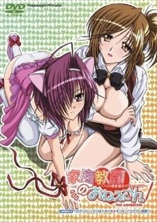 Watch Kateikyoushi no Onee-san The Animation H no Hensachi Agechaimasu episode 1 hentai stream