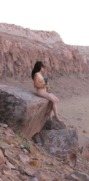 Nudist on a rock