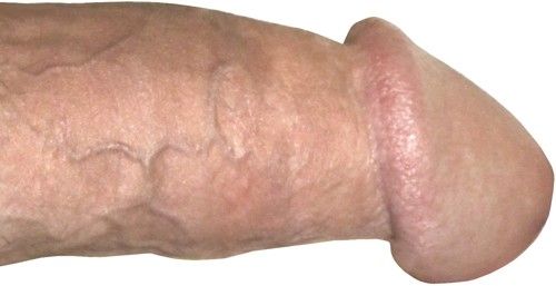 amateur cock close up for SWOGuy2 collection