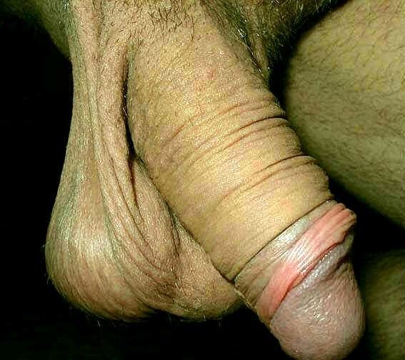 WOW! Look at all that beautiful foreskin! I could chew and suck on that for hours!