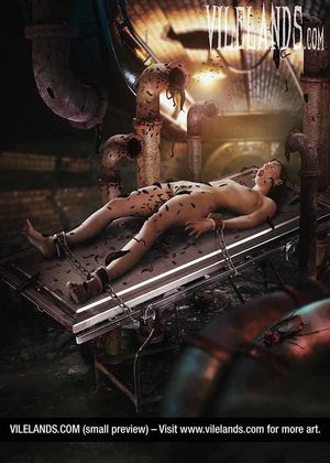 INSECTS BONDAGE ART – BY VILELANDS