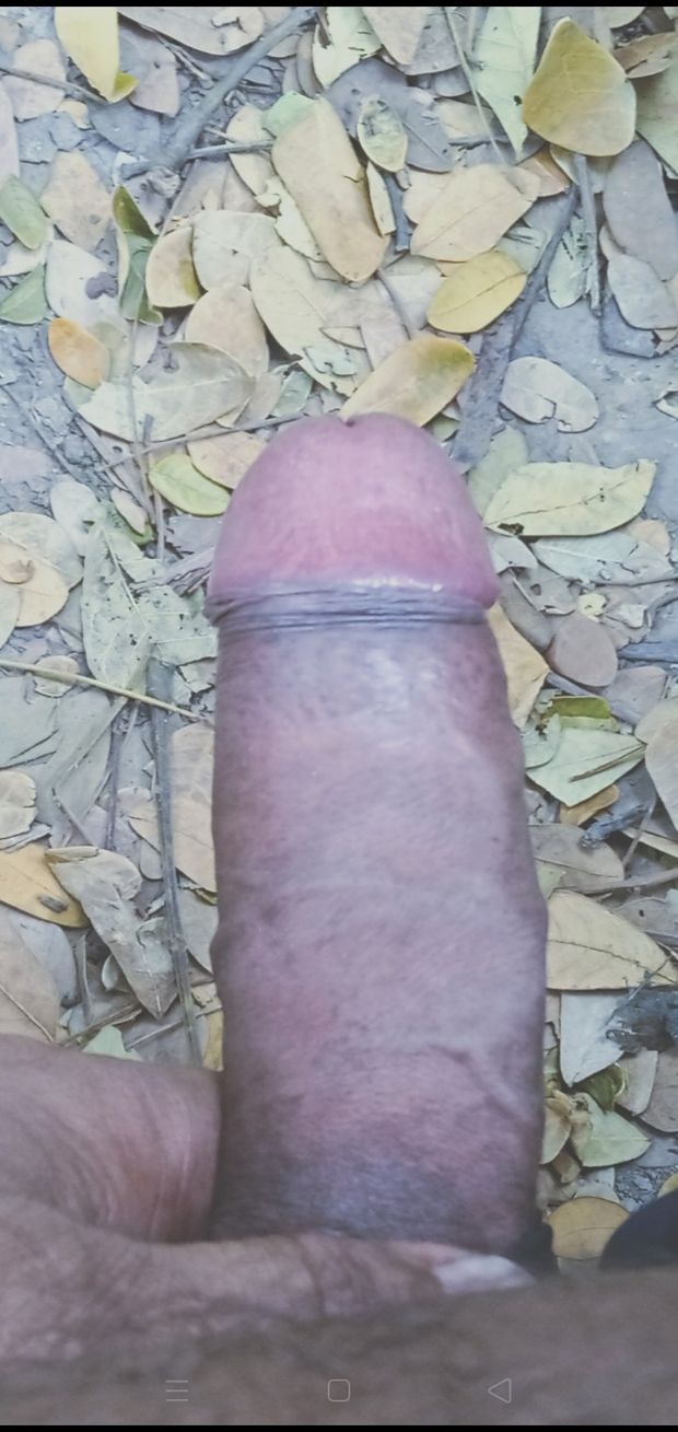 Fuck ass hole big dick