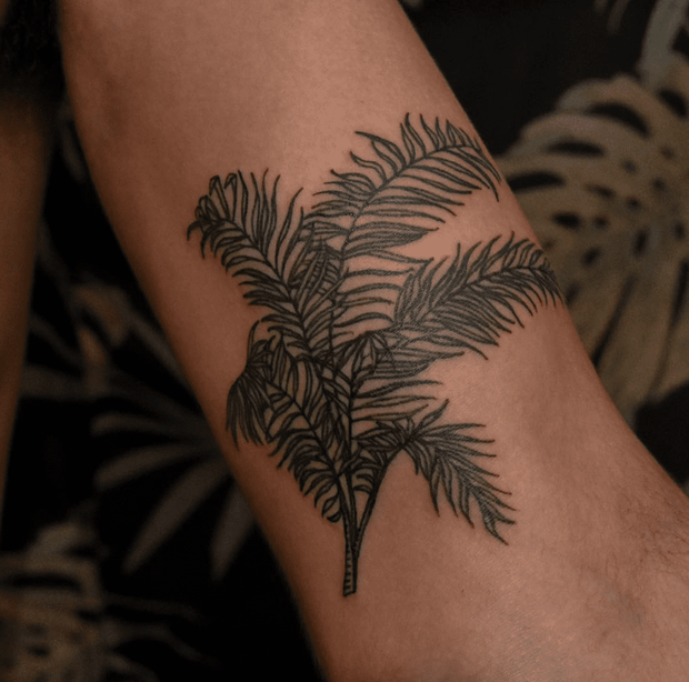 Areca Palm Tattoo