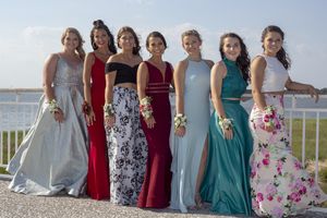 7 women in different dresses. Which one(s) carries the extra charm?