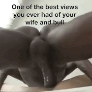 That bull goes fucking deep