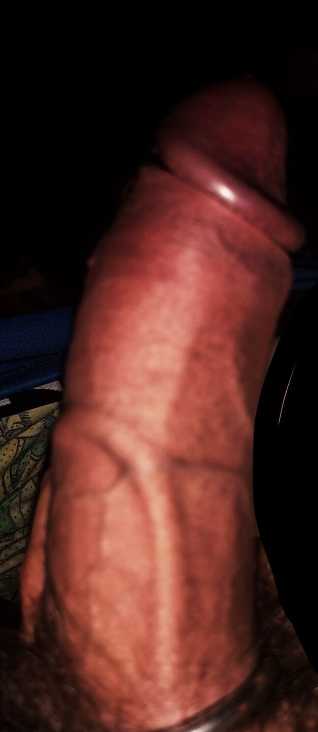 My veiny horny cock