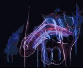 Blood-flow rendering