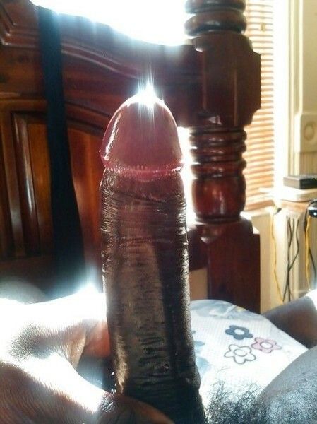 cock