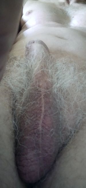 My hairy scrotum - good on her stomach and belly.