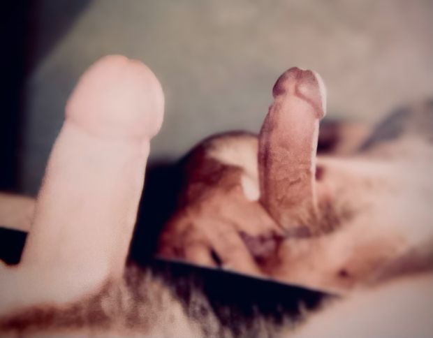 Cock reflection