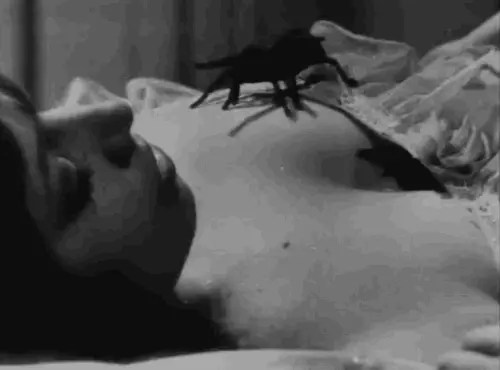 Horror