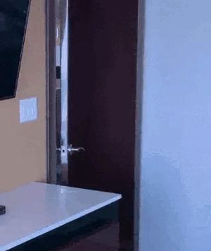 Yinileon ❤️ GIF #1