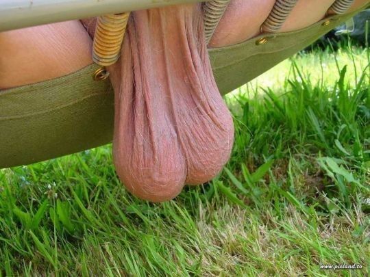 Hanging low but legal