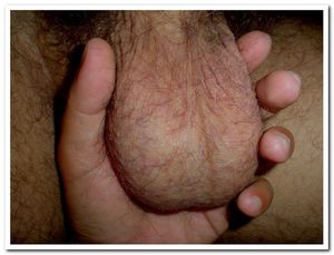 Two in the hand is worth one in the bush