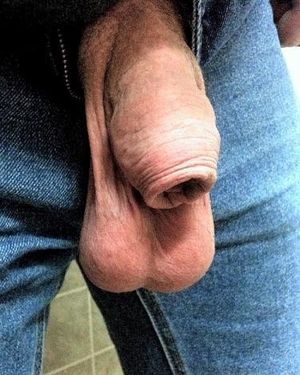 Hooded cock and hanging balls