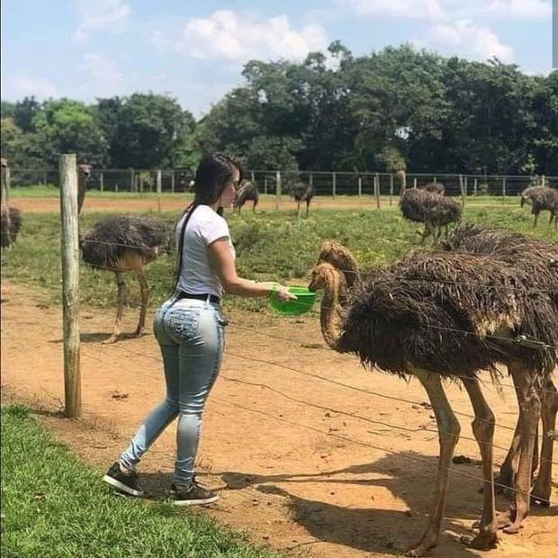 Hot latin ass