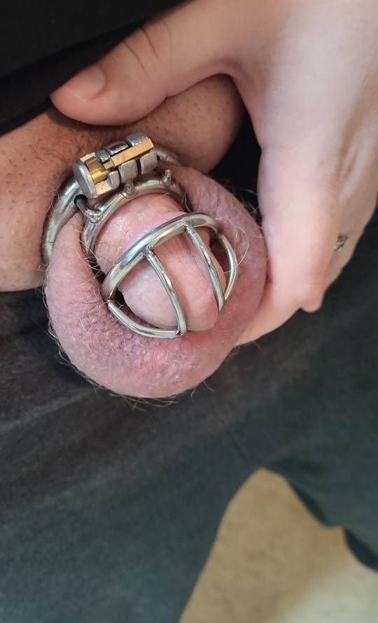 She unlocked me, let me clean, edged me while sitting on my face until she was satisfied, and then threw me back in the cage. Day 7 of well, who knows!