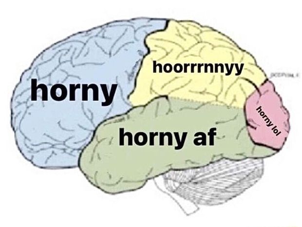 My brain! ;-) ❤️