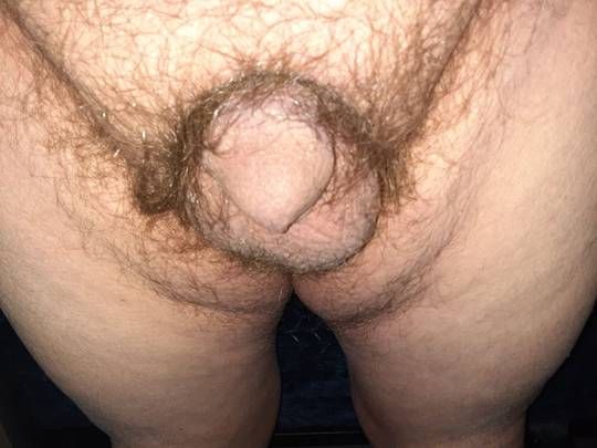 micro