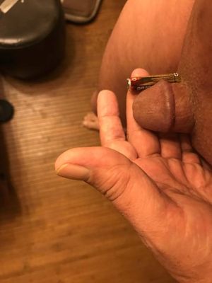 My Dick comparison with AAA battery