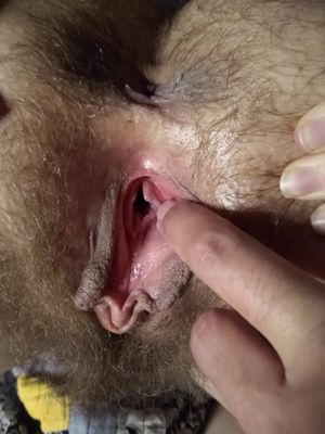 Gaping kitten's pussy