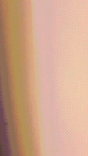 Bella Pizza Challenge