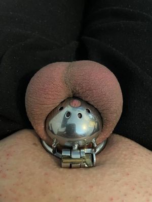 Freshly shaved and going to be locked for 9-19 days. So excited