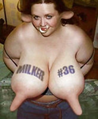 Milking cow