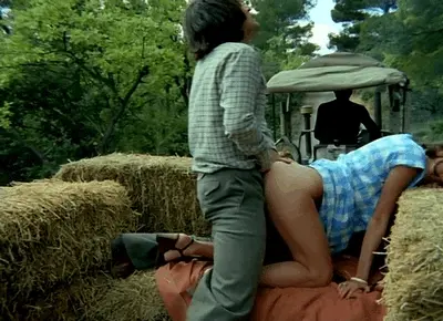 Sex