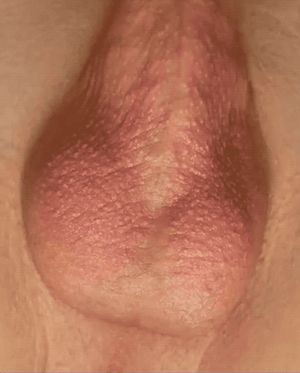 It’s interesting ????