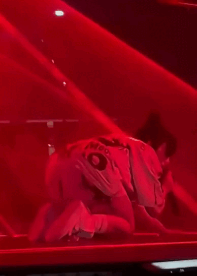 FACE DOWN ASS UP